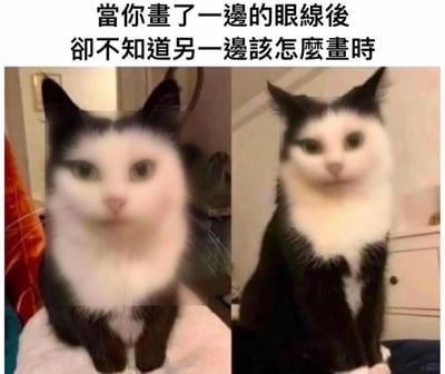这是一张左右对比拼接的搞笑梗图，顶部配有繁体中文文字说明：“當你畫了一邊的眼線後 卻不知道另一邊該怎麼畫時”。左侧图中的黑白奶牛猫只有右眼被P上了眼线，整体神态茫然，对应只画完单边眼线、不知道另一边如何下手的状态；右侧图中的同一只奶牛猫两只眼睛都画上了对称的眼线，神态端正精致，对应画完对称眼线后的效果。整张图用猫咪的拟人化状态，精准调侃了新手化妆时画眼线难以画对称、不知道另一半如何下手的常见窘境，很容易引发有化妆经历人群的共鸣。