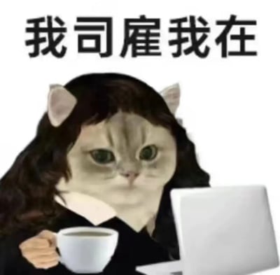 一张幽默的职场meme图片，画面主体是一只戴着人类假发的猫，它面无表情地看着前方，一手拿着咖啡杯，一手似乎在操作笔记本电脑。图片上方有醒目的文字'我司雇我在'，表达了一种'公司付我钱所以我就在这里'的职场摸鱼心态，反映了当代职场人对工作的无奈幽默态度。