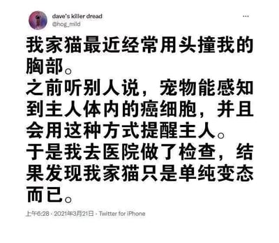这是一张来自Twitter（现X平台）的社交媒体静态截图，属于图文混排的形式。截图顶部显示了发布者的头像、昵称“dave's killer dread”和账号“@hog_mild”，下方是发布者分享的一段个人趣事文字：发布者发现自家猫最近经常用头撞自己的胸部，联想到之前听闻的“宠物能感知主人体内癌细胞并通过异常行为提醒主人”的说法，便紧张地去医院做了检查，结果却发现自己身体健康，只是自家的猫有着奇怪的癖好。这段内容通过“以为是健康预警，结果只是猫咪的怪异行为”的反差感，制造出搞笑的效果，是一则轻松幽默的宠物相关段子，没有双关、谐音梗等特殊内容。