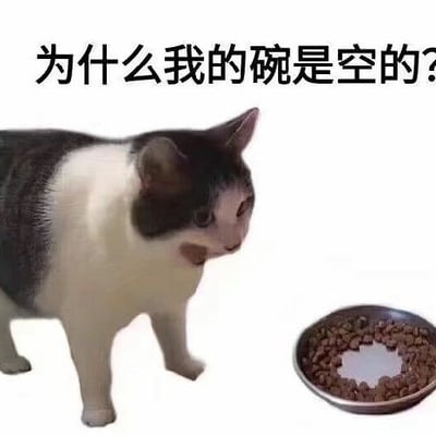 这是一张网络表情包：一只表情疑惑的猫咪看着猫粮碗，碗里只有四周有猫粮，中间是空的。配文“为什么我的碗是空的？”。该图搞笑地表达了宠物猫对待遇不满的场景，常用于吐槽“被敷衍”“资源分配不公”等话题。图中其实猫碗并不是真的空，只是中间没有猫粮，暗含双关和人宠间的萌趣矛盾。