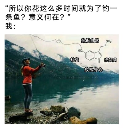 这是一张回应“钓鱼意义”的趣味梗图。上方文字呈现他人的质疑：“所以你花这么多时间就为了钓一条鱼？意义何在？”，下方主体是一位身穿红色外套的人站在静谧的湖边岩石上，正举着钓鱼竿钓鱼，背景是青山绿水的自然景色。图中还加入了血清素（5-羟色胺）的化学结构式，这种物质是能让人产生愉悦、平静感受的神经递质，结构式周围标注了“亲近自然”“社交”“成就感”“放松身心”这些钓鱼过程中能获得的体验，以此解释钓鱼的核心意义并非为了钓到鱼，而是通过这些体验促使人体分泌血清素，从而获得身心的愉悦与满足，巧妙回应了质疑，将休闲活动的深层价值用结合科学的趣味形式展现出来。