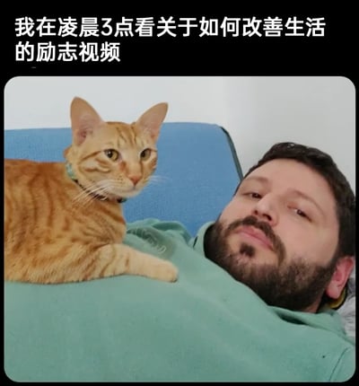 这是一张充满自嘲意味的生活梗图，顶部的文字“我在凌晨3点看关于如何改善生活的励志视频”点明了核心内容，画面中一位留着络腮胡的男子眼神涣散、面容疲惫地躺着，状态萎靡，他身上趴着一只橘猫，橘猫的眼神也带着几分无奈，二者的状态和文字内容形成强烈反差，精准地刻画了当代部分青年“一边渴望通过励志内容改变生活，一边又在深夜虚度时光”的矛盾又真实的生活状态，用幽默的方式引发同类人群的共鸣。