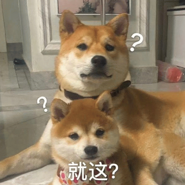 两只柴犬疑惑表情梗图