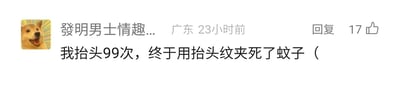 这是一张社交媒体评论的截图，评论用户的头像是经典的Doge表情包，昵称显示为“发明男士情趣...”，地址标注为广东，发布时间为23小时前。评论内容为“我抬头99次，终于用抬头纹夹死了蚊子（”，该评论获得了17个点赞。这段评论用极度夸张的手法，调侃自己的抬头纹很深，同时以一种荒诞的方式表达对蚊子的厌烦，制造出搞笑的效果，属于网络上常见的幽默吐槽类段子，没有双关、谐音梗等特殊内容。