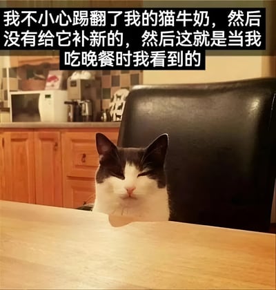 图片展示了一只黑白相间的猫咪坐在木质餐桌旁，背景是厨房环境（有橱柜、微波炉等）。猫咪半眯着眼睛，表情略带不满地注视着前方。图片上方有文字说明：'我不小心踢翻了我的猫牛奶，然后没有给它补新的，然后这就是当我吃晚餐时我看到的'。整体场景幽默地展现了猫咪因主人未及时补充牛奶而在晚餐时投来'怨念'目光的日常趣事，充满生活气息和宠物互动的温馨搞笑感。