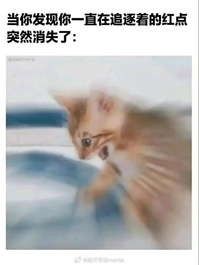 这是一张用于社交平台的搞笑表情包，上方配有文字“当你发现你一直在追逐着的红点突然消失了:”，下方是一张经过模糊处理的橘色小猫图片，小猫嘴巴大张，肢体姿态慌乱，画面的模糊效果进一步放大了它的错愕与焦急。该表情包通过模拟猫咪发现逗猫棒红点消失后的崩溃反应，拟人化地表达了人们在专注追逐某个目标时，目标突然消失后的慌乱、懵圈的情绪，十分生动形象，适合在社交场景中用来抒发类似的情绪。