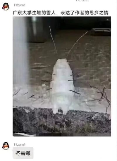 这是一张社交媒体截图，内容是广东大学生在降雪时堆出的创意雪人，该雪人被塑造成蟑螂的模样，用细枝充当触须和腿，造型诙谐。图中上方配文“广东大学生堆的雪人，表达了作者的思乡之情”，左下角配文“冬雪蠊”，这里运用了谐音梗，“冬雪蠊”谐音“冬雪莲”，而蟑螂（曱甴）是广东地区常见的昆虫，用模仿蟑螂的雪人结合“思乡之情”的调侃，既体现了南方学生少见雪时的新奇玩雪创意，又用本土常见事物玩梗，充满趣味，容易引发网友共鸣。