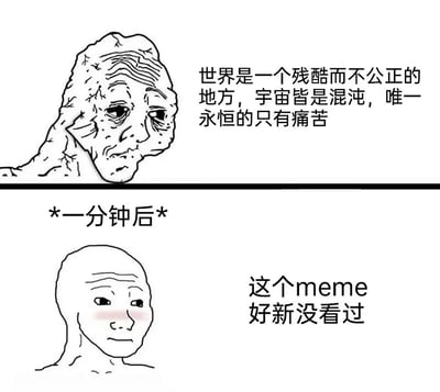 上图中一个布满皱纹、表情悲伤的哲学家面孔配上文字："世界是一个残酷而不公正的地方，宇宙皆是混沌，唯一永恒的只有痛苦"，展现出深刻的悲观哲学思考。下图则是一个一分钟后的转变，一个简单的光头人物带着羞涩表情说道："这个meme好新没看过"，形成了从深沉哲学思考到关注新鲜网络内容的幽默反差。