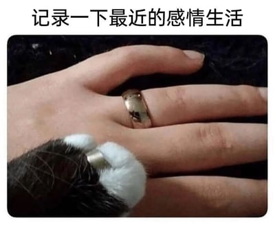 图片上方配有文字“记录一下最近的感情生活”，下方主体为一只戴着金色戒指的人类左手（戒指佩戴于无名指），手旁有一只黑白相间的猫爪，猫爪上也戴着一个小型金属环。通过人类戒指与猫爪“戒指”的并置，以幽默方式暗示“感情生活”的对象是猫咪，形成自嘲单身的趣味表达。