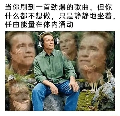 这张迷因图展示了戴着耳机静坐的Arnold Schwarzenegger形象，配文幽默表达听到劲爆歌曲时内心充满能量却不愿行动的矛盾日常感受，引发共鸣。