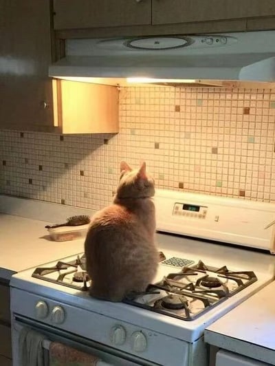 一只橘猫正端坐在厨房的白色 gas stove 上，背对着镜头，专注地仰头望着上方亮着的抽油烟机灯光。厨房背景是米黄色小方砖拼贴的墙面，左侧橱柜下的台面上放着一个透明容器和一把毛刷，整体场景温馨日常，展现了猫咪对家中光源的好奇观察。