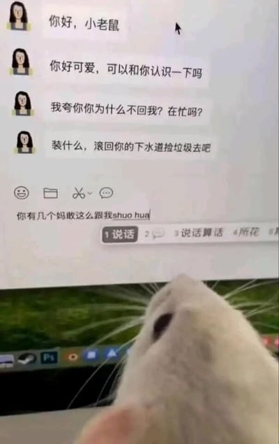 这是一张搞笑合成梗图，画面上半部分是聊天记录截图：一名网友先以亲昵的语气称呼对方为“小老鼠”，表达想要认识的意愿，在未收到回复后，态度瞬间反转，从友好变为暴怒，接连质问并辱骂对方；输入框中显示正在输入的内容为“你有几个妈敢这么跟我shuo hua”，其中“shuo hua”是“说话”的未完成拼音输入。画面下半部分是一只真实的白色小老鼠，正抬头对着屏幕，仿佛就是聊天中被称呼的“小老鼠”，将虚拟对话和真实动物结合，拟人化的对应制造出强烈的搞笑效果，网友的前后态度巨大反差也是核心笑点，调侃了网络上部分人情绪极易失控的现象。