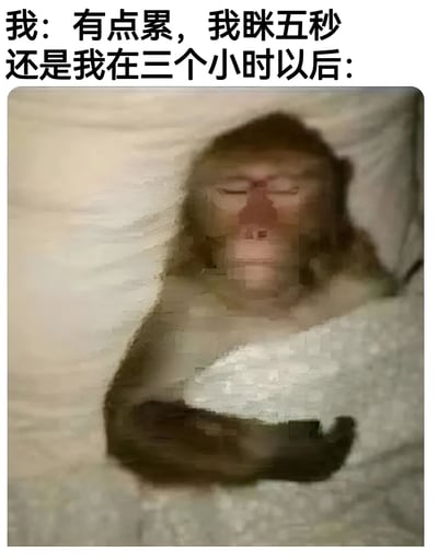 图片上方配有文字“我：有点累，我眯五秒 还是我在三个小时以后：”，下方是一张猴子躺在床上的照片。猴子双眼紧闭，身体放松地蜷缩着，盖着被子，呈现出深度睡眠的状态。整个画面幽默地展现了人们本想短暂小憩却意外睡了很久的常见生活经历，通过猴子熟睡的形象生动诠释了“眯五秒”与“三小时后”的巨大反差，引发共鸣。