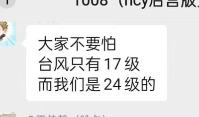 这是一张聊天记录截图，显示某用户发送消息称“大家不要怕 台风只有17级 而我们是24级的”，通过将台风等级与“我们”的等级进行对比，以幽默调侃的方式表达面对台风时的轻松态度，可能暗含夸张自信或玩笑意味。