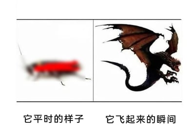 这是一张左右分栏的对比式梗图，左侧展示了一只身体主体为红色、其余部分模糊的小型昆虫，下方配文“它平时的样子”，呈现出这类昆虫日常不起眼的状态；右侧则是一只张牙舞爪、拥有巨大破损翅膀与弯曲长尾的暗黑风格西方巨龙，巨龙头部狰狞咆哮，姿态极具冲击力，下方配文“它飞起来的瞬间”。整张图通过现实中普通小虫与奇幻世界巨龙的强烈视觉反差，制造出荒诞又搞笑的幽默效果，夸张化了小昆虫飞行时的视觉变化，用脑洞大开的对比来调侃事物前后的巨大差异。