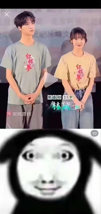 这是一张上下拼接的娱乐吐槽梗图：
1. 上半部分是新《红楼梦》相关活动的现场截图，25岁的演员张淼怡被标注为林黛玉扮演者，她和身旁男演员身着印有“红楼梦”字样的T恤，双手交叠置于身前，姿态拘谨；
2. 下半部分是网络经典迷惑表情包，人物瞪大双眼，满脸错愕，精准传递出网友对该选角的惊讶、不解情绪。