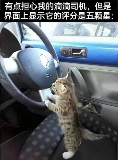 图片中一只虎斑小猫站立在汽车驾驶座上，前爪扶着方向盘，仿佛正在开车。图片上方配有文字：'有点担心我的滴滴司机，但是界面上显示它的评分是五颗星：'，通过猫咪'驾驶'的可爱场景与滴滴司机五星评分的反差制造幽默效果，展现了轻松搞笑的氛围。