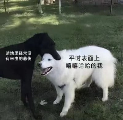 图片中两只狗站在绿色草地上，黑色狗从后方将头轻轻搭在白色狗的头顶。白色狗表情开心，嘴巴张开似在微笑；黑色狗则显得安静。图片通过文字“暗地里经常没有来由的悲伤”（黑色狗旁）和“平时表面上嘻嘻哈哈的我”（白色狗旁）形成对比，幽默比喻人们内心隐藏的低落情绪与外在乐观表现的反差。