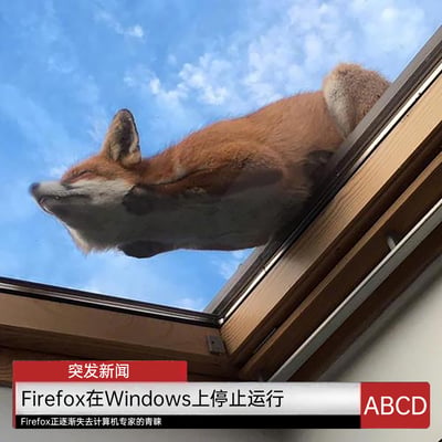 这是一张玩谐音与场景梗的趣味创作图，画面中一只真实的红狐狸趴在室内天窗的玻璃外侧，利用视觉错觉让它看起来像是“卡”在窗口中；下方搭配模仿新闻播报的栏位，标注“突发新闻：Firefox在Windows上停止运行”，还有补充文字“Firefox正逐渐失去计算机专家的青睐”。创作者用真实的“火狐”对应Firefox（火狐浏览器）的名称，天窗的“窗口”对应Windows系统，以此调侃火狐浏览器在Windows系统上出现停止运行的故障事件，画面诙谐有趣，充满创意。