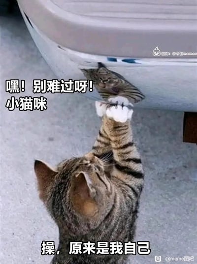 这是一张充满反差感的搞笑猫咪表情包，画面主体是一只狸花猫，它闭着眼睛，抬起两只带有白色爪垫的前爪，温柔地触碰下方光滑平面（疑似冰箱底部）的自己的倒影，误以为那是另一只难过的小猫咪，配文先是“嘿！别难过呀！小猫咪”，展现出它想要安慰“同伴”的温柔姿态；随后的配文“操，原来是我自己”则瞬间制造出强烈的反差，将原本的温柔转化为一种无奈又自嘲的情绪，精准戳中了人们在生活中试图安慰他人，却发现需要被安慰的其实是自己的心境，十分贴合当下年轻人的自我调侃心态。