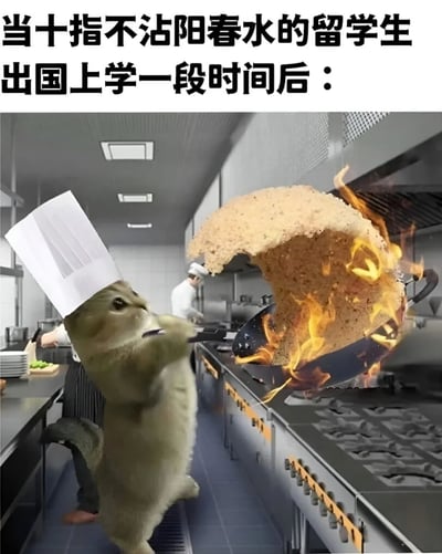 图片展示了一只戴着厨师帽的猫在专业厨房里，手持煎锅，锅里的食物正在燃烧。上方文字写着'当十指不沾阳春水的留学生出国上学一段时间后：'，幽默地表现了缺乏生活经验的留学生出国后不得不快速学会做饭的情景。