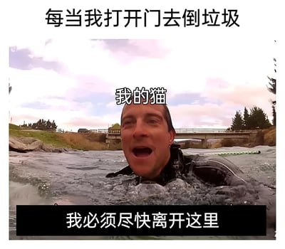 这张梗图使用了一个视频截图，图中是一位穿着黑色潜水服的男子在湍急的河流中挣扎，表情看起来非常惊恐和急迫。图片上叠加了三段文字，形成了一个幽默的对比：上方文字写着“每当我打开门去倒垃圾”，中间标注“我的猫”，底部文字是“我必须尽快离开这里”。通过将猫想要趁机溜出门的急切心情，与视频中人物在危险环境中急于逃生的场景结合，夸张地表现了猫咪对出门的渴望和急迫感，制造出幽默效果。