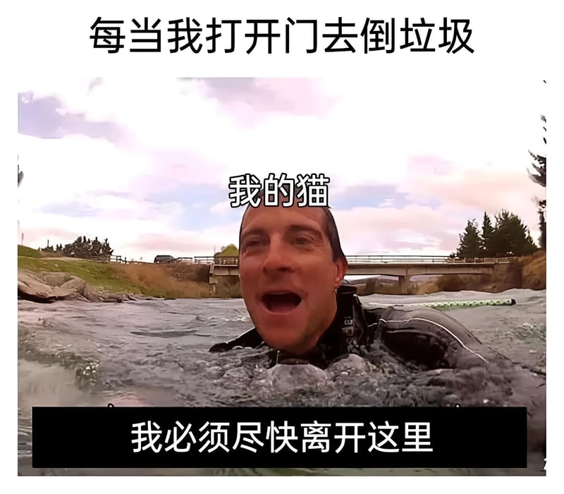 贝尔·格里尔斯