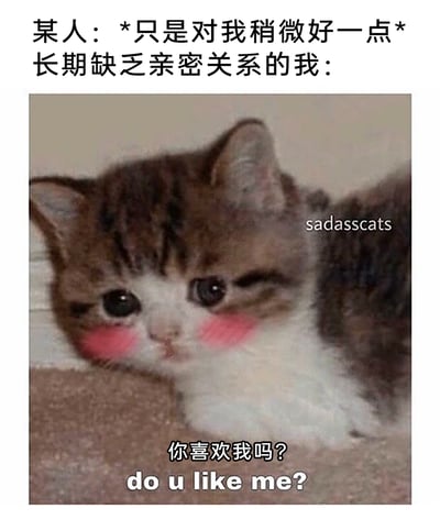 这是一张精准戳中缺爱人群情绪的搞笑表情包。图片上方配有文字：“某人：*只是对我稍微好一点* 长期缺乏亲密关系的我：”，下方是一只被P上泛红脸颊的狸花加白小猫，它眼眶湿漉漉的，脑袋低垂，露出害羞忐忑的神情，同时配文“你喜欢我吗？do u like me?”。整图生动又幽默地描绘出长期缺乏亲密关系的人，在接收到他人一点点善意后，就会忍不住过度解读，害羞地误以为对方对自己有好感的细腻情绪，引发这类人群的强烈共鸣。