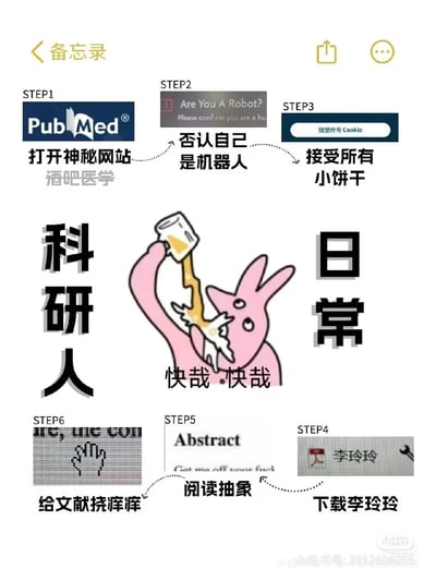 这是一张以竖屏备忘录形式呈现的搞笑梗图，专门调侃科研人查找、阅读学术文献的日常流程。图中分为6个趣味化步骤：Step1标注打开学术网站PubMed，并用“酒吧医学”作为谐音梗调侃；Step2对应网站的人机验证环节，戏称“否认自己是机器人”；Step3是接受网站Cookie授权，戏称“接受所有小饼干”；Step4是下载文献，用“李玲玲”谐音“PDF文档”玩梗；Step5是阅读文献摘要（Abstract），戏称“阅读抽象”；Step6是浏览文献，戏称“给文献挠痒痒”。图中中间位置是一只举杯畅饮的粉色卡通兔子，配文“科研人 日常”和“快哉快哉”，用惬意的姿态表现科研人完成文献检索流程后的放松心态，整体内容充满自嘲式的幽默，精准戳中科研群体的日常痛点，用趣味化的方式还原场景。