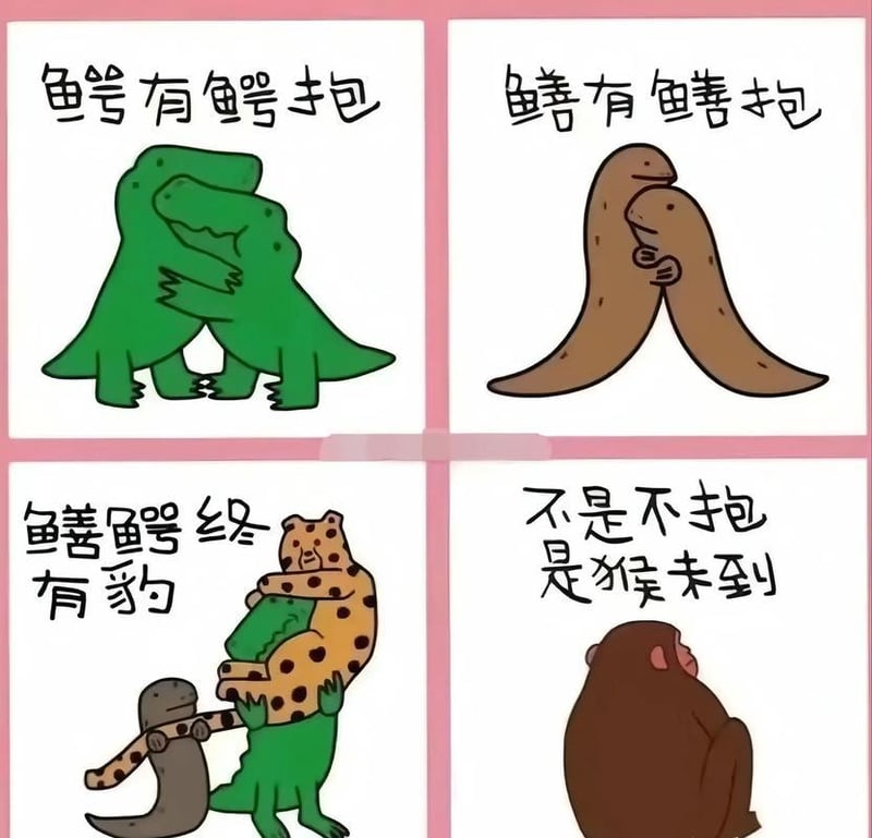 豹子