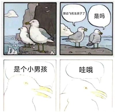 这张梗图是由四格漫画组成，上面两格是两只海鸥站在岩石上对话，一只说“那边飞机生孩子了”，另一只回应“是吗”。下面两格分别是放大的一只海鸥，配着“是个小男孩”和“哇哦”两个对白。这种简短而无厘头的对话配合呆滞的表情使整张图显得十分搞笑，常见于网络用于讽刺、吐槽或调侃一些无聊或者不痛不痒的消息，展现冷淡反应的梗图风格。该梗常衍生于原版英文模板，中文台词让其显得更为本土化和有趣。

无明显双关、谐音或暗示。