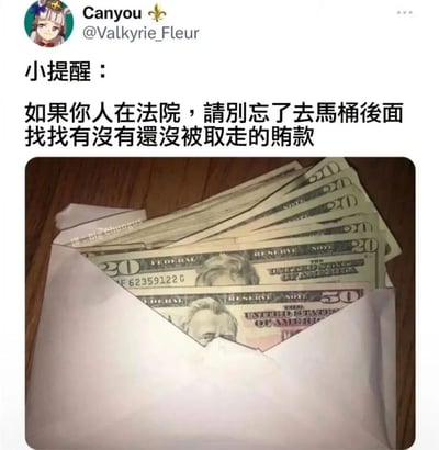 这是一张社交媒体截图，内容是一条幽默提醒：'如果你人在法院，请别忘了去马桶后面找找有没有还没被取走的贿款'。配图是一个装满20美元和50美元钞票的信封，钞票上有'Digi Chungus'水印。发布者头像是一个动漫风格的女性角色，用户名是Canyou，带有@Valkyrie_Fleur的账号标识。