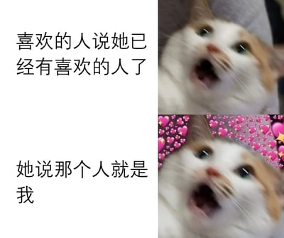 图片采用左右对比+图文混排结构：左侧为黑色文字分上下两段，上段“喜欢的人说她已经有喜欢的人了”制造悬念，下段“她说那个人就是我”形成甜蜜反转；右侧为两张同款猫咪表情包的递进对比——上图猫咪瞪圆眼睛、嘴巴微张，露出难以置信的震惊表情；下图猫咪周围环绕粉色爱心与星星特效，表情从震惊转为狂喜，生动演绎了从失落错愕到惊喜激动的情绪过山车，完美匹配文字剧情的反转魅力。