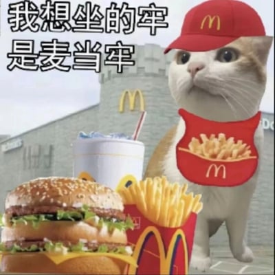这是一张经过P图改编的趣味静态表情包，画面中一只猫咪被P上了麦当劳的红色帽子和印有薯条图案的围兜，身旁摆放着麦当劳的双层汉堡、大份薯条和冰饮，背景是类似城堡外墙的建筑，搭配文字“我想坐的牢是麦当牢”，利用“麦当劳”与“麦当牢”的谐音玩梗，以幽默的方式表达对麦当劳快餐的喜爱，传递出想一直享用这类美食的趣味诉求，风格搞笑可爱，适合在社交平台用来表达对快餐的渴望。