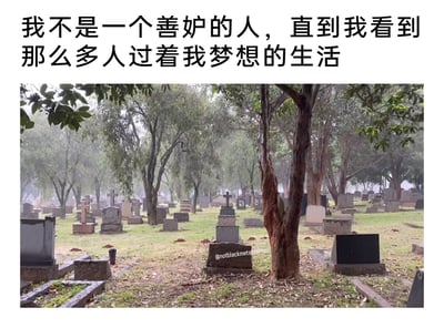 这是一张采用顶配底文形式的黑色幽默梗图，上方配有自嘲文字“我不是一个善妒的人，直到我看到那么多人过着我梦想的生活”，下方是一片被雾气笼罩、分布着各式墓碑的墓地场景。该图以反差感极强的黑色幽默，将逝者“无需再承受现实生活的压力、彻底‘躺平’”的状态，调侃为自己梦寐以求的生活，精准戳中当代人在高压生活下的疲惫与无奈，用自嘲的方式抒发对生活压力的情绪。
