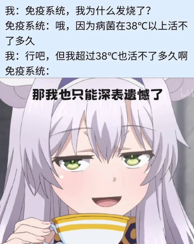 精灵幻想记