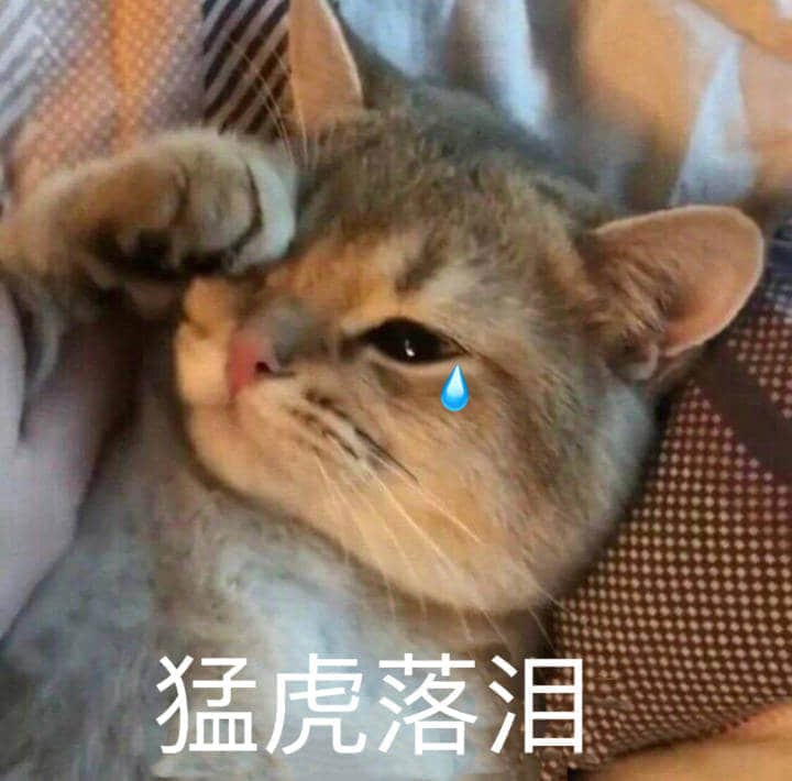 猛虎落泪猫咪表情包
