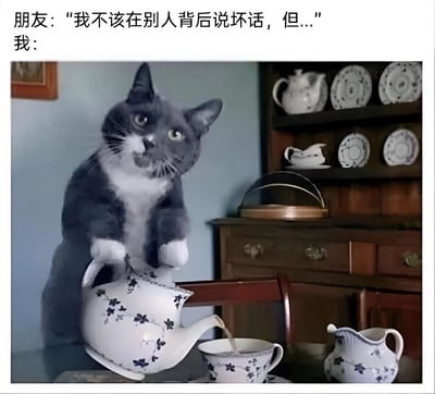 图片上方文字为“朋友：'我不该在别人背后说坏话，但...' 我：”，下方是一只灰白相间的猫站立着，用前爪扶着茶壶往茶杯里倒茶的场景。背景有木质橱柜和陶瓷餐具，整体营造出当朋友即将开始八卦时，自己早已准备好倾听的幽默画面，通过猫倒茶的动作夸张表现出期待听八卦的心情。