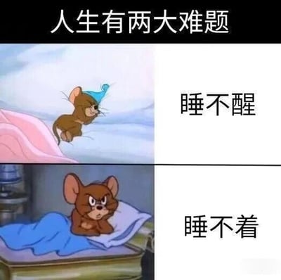 图片上方配有文字“人生有两大难题”，下方分为上下两个 panels。上 panel 左侧是《猫和老鼠》中的 Jerry 戴着蓝色小帽子，正挣扎着从粉色被窝里爬出来，表情困倦，右侧对应文字“睡不醒”；下 panel 左侧是 Jerry 躺在铺着蓝色毯子的床上，眉头紧锁，表情烦躁无奈，右侧对应文字“睡不着”。通过 Jerry 两个反差鲜明的睡眠状态，幽默吐槽了人们日常生活中“睡不醒”和“睡不着”这两大常见的睡眠困扰，引发共鸣。
