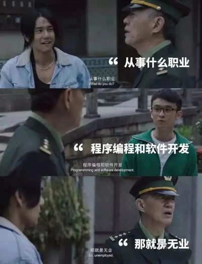 这是一张由国产电视剧《漫长的季节》截图改编的三格连环梗图，通过三段对话制造搞笑反差：第一格中身着制服的角色严肃询问对方“从事什么职业”；第二格中戴眼镜的角色认真回答“程序编程和软件开发”；第三格中制服角色对着另一个角色给出“那就是无业”的判定。该梗图以替换原剧台词的方式，调侃外界对程序员职业的误解，同时也是程序员群体的一种自嘲，用强烈的认知反差营造幽默效果，无谐音梗或双关内容。