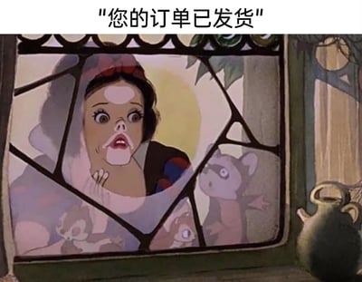 这是一张经过P图改编的搞笑表情包，画面取材自迪士尼经典动画《白雪公主和七个小矮人》的场景：白雪公主与几只小动物一同贴在玻璃上向内张望，不过白雪公主的脸部被网友恶搞涂改，呈现出瞪大双眼、嘴巴大张的夸张震惊表情，手还放在脸颊旁，配合图片顶部添加的文字“您的订单已发货”，生动地用动画角色的夸张反应，来表现网购用户在得知自己的订单终于发货时的激动、急切又惊喜的心情，精准戳中了网购爱好者等待快递的普遍心理，充满趣味性。