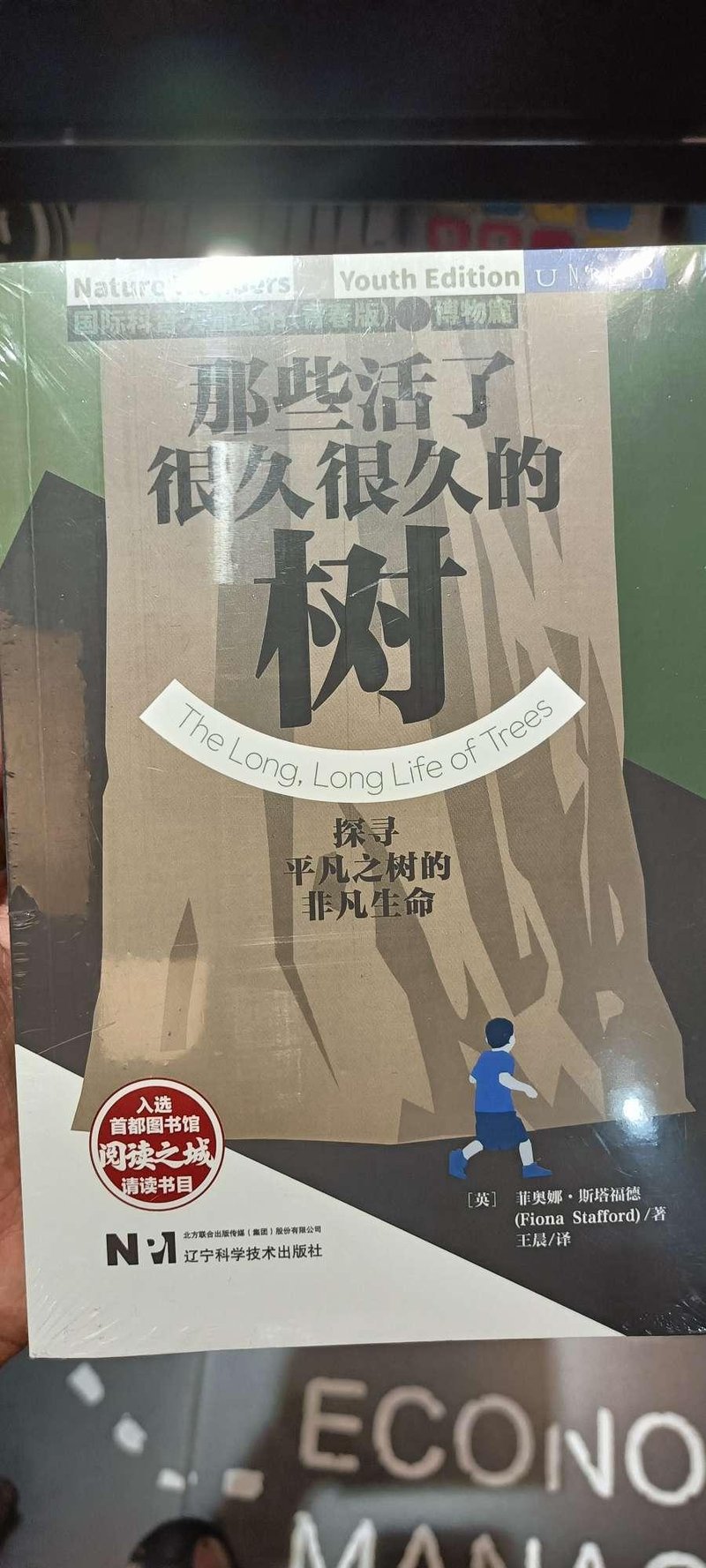 《那些活了很久很久的树》（青春版）封面原创插画