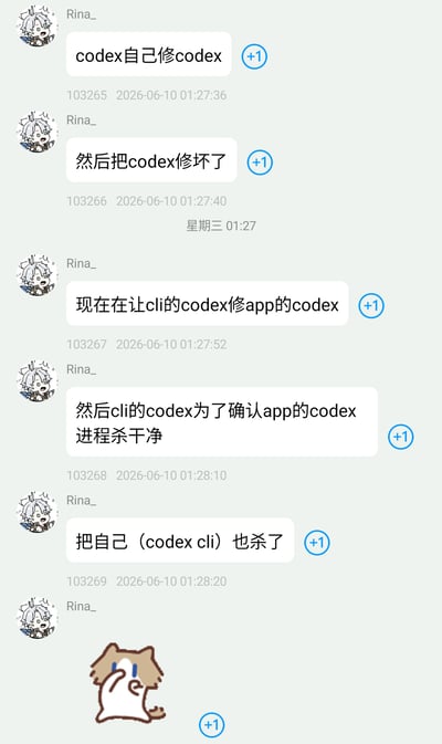 这是一张即时通讯软件的聊天记录截图，用户名为Rina_的账号先后发布了5条文字消息和1个卡通猫咪表情包，讲述了程序运行中的离谱事件：首先是codex程序尝试自修复代码，结果反而把自身修坏了；之后开发者尝试用命令行版本（cli）的codex修复应用端（app）的codex，命令行版本的codex为了确认应用端的codex进程被彻底清理结束，误将自身的进程也一同终止，最后发送的捂嘴笑猫咪表情包生动体现了这件事的荒诞搞笑，内容是典型的程序员相关趣味梗，容易引发开发从业者的共鸣。