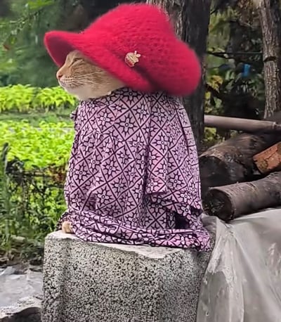 这是一张户外实拍的静态图，画面主体是一只橘色猫咪端坐在灰色磨砂质感的水泥石墩上，猫咪头戴一顶带有金色小装饰的鲜红色毛绒宽檐帽，身上穿着浅紫色底、印有黑色几何花纹的宽松上衣，猫咪侧脸朝向左方，眼睛微眯，神态十分悠然。背景可见绿色的植被、树干以及堆放的木柴，整体画面将猫咪进行拟人化装扮，风格诙谐有趣，充满反差萌。