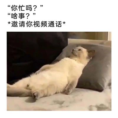 这是一张趣味萌宠表情包，上方用三段文字模拟了日常社交中发起视频通话的场景：邀约方先询问对方是否忙碌，在得到回应后发出视频通话邀请；下方是一只暹罗猫仰躺在枕头上，四肢放松摊开，姿态惬意慵懒，仿佛是被邀约方放松的状态，整体风格轻松搞笑，适合在社交平台上向朋友发起视频通话邀约，传递出亲切又随性的氛围。