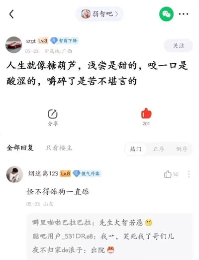 这是一张百度贴吧“弱智吧”的竖屏截图，用户szgt（Lv.3，IP属地广西）于5月23日发布了一段人生感慨，将人生比作糖葫芦，描述为“浅尝是甜的，咬一口是酸涩的，嚼碎了是苦不堪言的”，该帖获得201个点赞。热门回复中用户烟迷离123（Lv.8，IP属地山东）留言“怪不得舔狗一直舔”，用巧妙的双关角度解读楼主的感慨，将“舔狗”只停留在尝到甜的阶段的行为和糖葫芦的特性联系起来，这个回复获得32个赞，下方还有其他用户留言调侃，如“先生大智若愚 😎”“我艹，笑死我了哥们儿”“出院 🚑”，整体通过反套路的神回复制造出反差搞笑的效果，是典型的贴吧式玩梗内容。