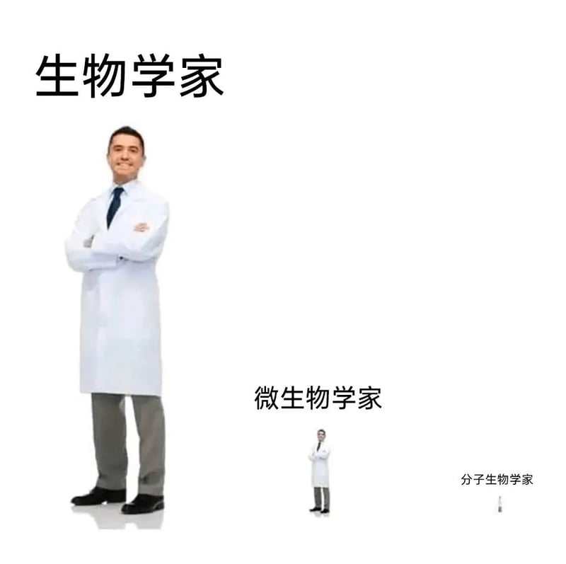 分子生物学研究