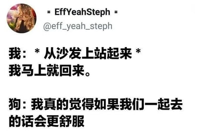 这是一张社交媒体截图，展示了一段幽默的人宠对话。内容为：主人说“*从沙发上站起来* 我马上就回来。”，狗狗则回应“我真的觉得如果我们一起去的话会更舒服”，通过拟人化的手法表现了宠物希望时刻陪伴主人的可爱心理，充满生活气息和趣味性。