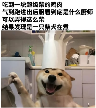 图片上方为黑色文字描述：'吃到一块超级柴的鸡肉 气到跑进出后厨看到底是什么厨师 可以弄得这么柴 结果发现是一只柴犬在煮'。下方图片中，一只柴犬戴着白色厨师帽，站在厨房环境中，前爪抬起，嘴巴张开露出舌头，表情开心，仿佛正在做饭。图片利用'柴'（形容肉质干硬）和'柴犬'的谐音双关制造幽默效果，讲述因鸡肉太干硬而发现厨师是柴犬的搞笑情景。