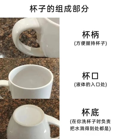 这是一张以“杯子的组成部分”为主题的图文混排静态图，通过三张实拍照片展示了白色杯子的不同部位，并配有文字说明。上方图片特写杯柄，标注“杯柄 (方便握持杯子)”；中间图片展示杯口，标注“杯口 (液体的入口处)”；下方图片呈现杯底，标注“杯底 (在你洗杯子时负责把水溅得到到处都是)”。整体采用严肃科普的格式，但对杯底的描述带有幽默调侃，形成反差萌，让人会心一笑。